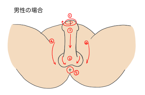 陰部洗浄　男性